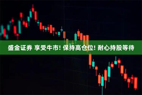 盛金证券 享受牛市! 保持高仓位! 耐心持股等待
