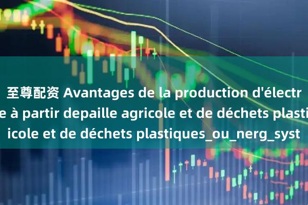 至尊配资 Avantages de la production d'électricité à petite échelle à partir depaille agricole et de déchets plastiques_ou_nerg_syst