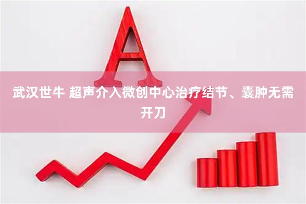 武汉世牛 超声介入微创中心治疗结节、囊肿无需开刀