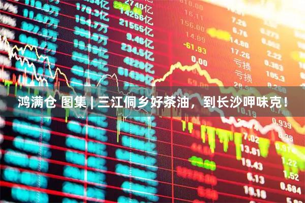 鸿满仓 图集 | 三江侗乡好茶油,到长沙呷味克!